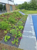 Plantation chantier Drolenval (1)