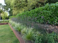 Chantier Nivezée Aménagement complet (10webp