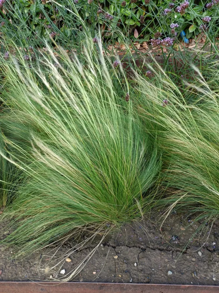 Chantier Nivezée Aménagement complet (4webp