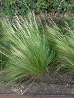 Chantier Nivezée Aménagement complet (4webp