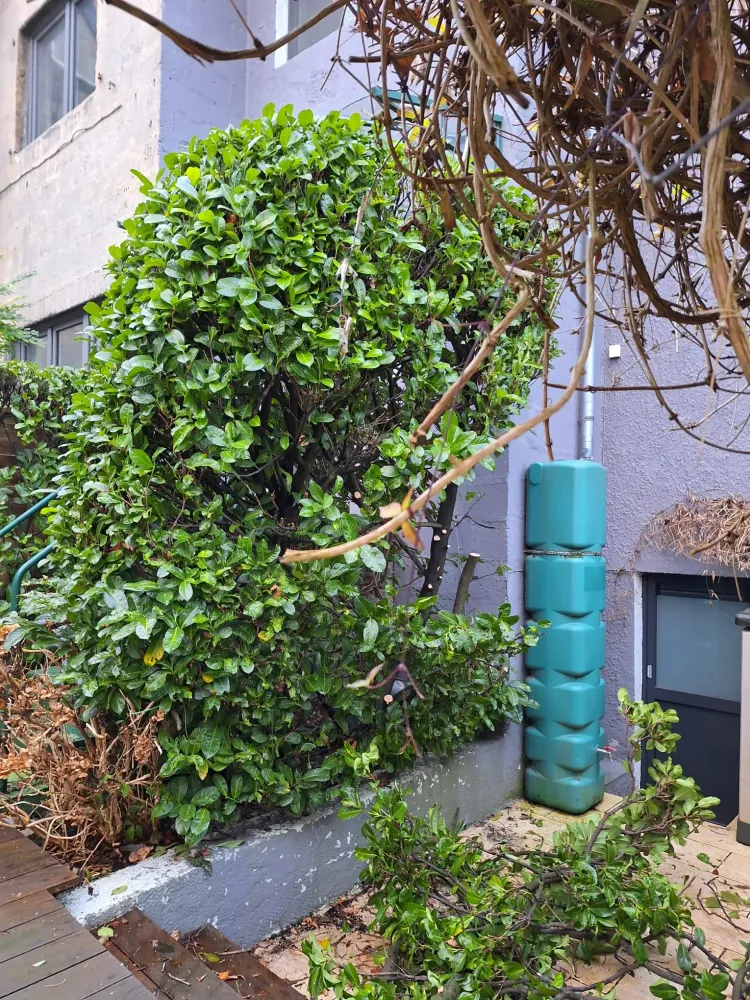 Chantier de ville Heusy (39)